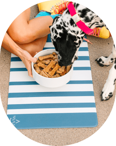 NALALAS Bohemian Large Waterproof Dog Mat - Food & Water Pet Food Mat, Cat Food Mat, Dog Food Mat for Floors - Waterproof Non